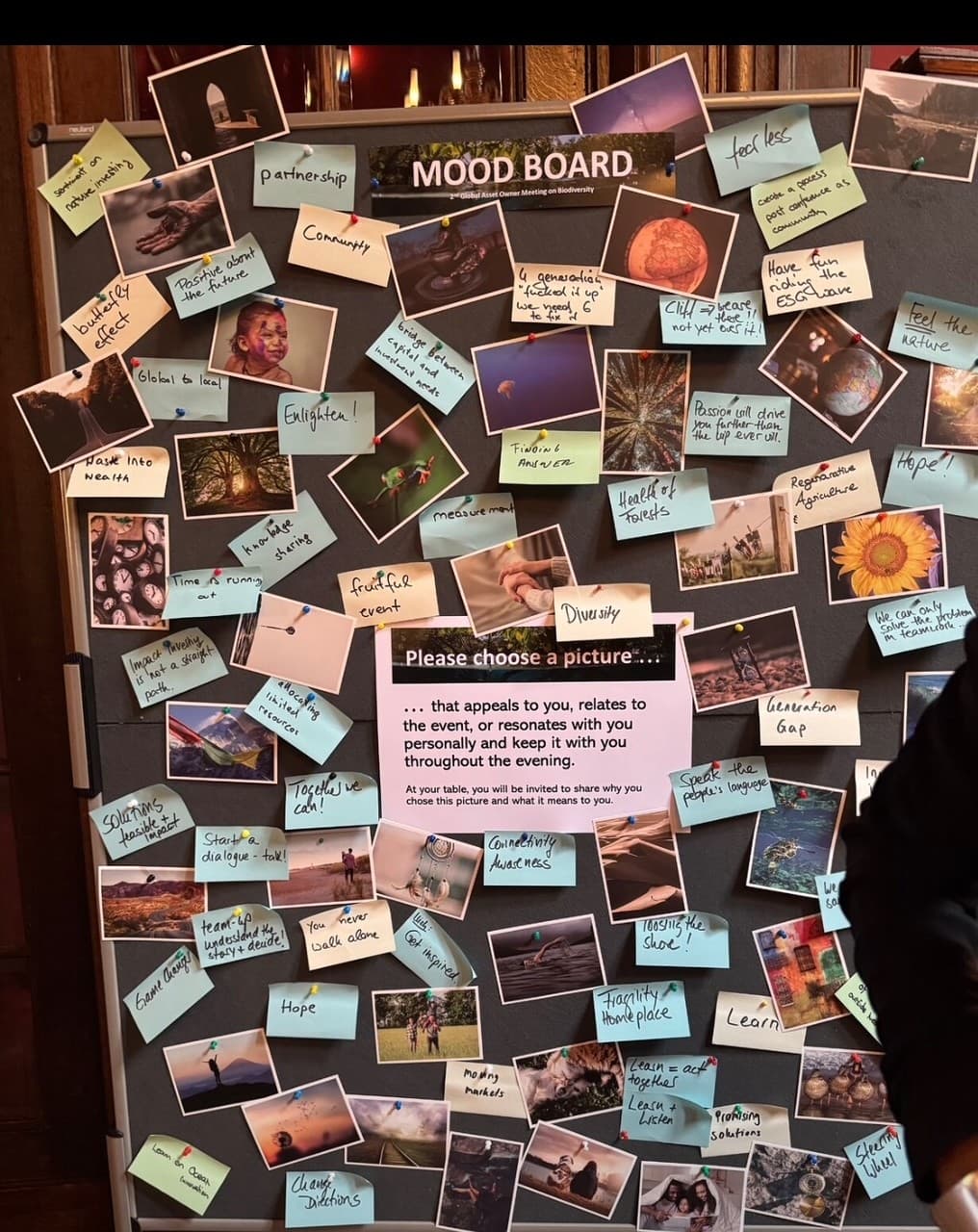 Moodboard mit inspirierenden Fotos und bunten Notizzetteln zu Themen wie Biodiversität, Gemeinschaft und Hoffnung.